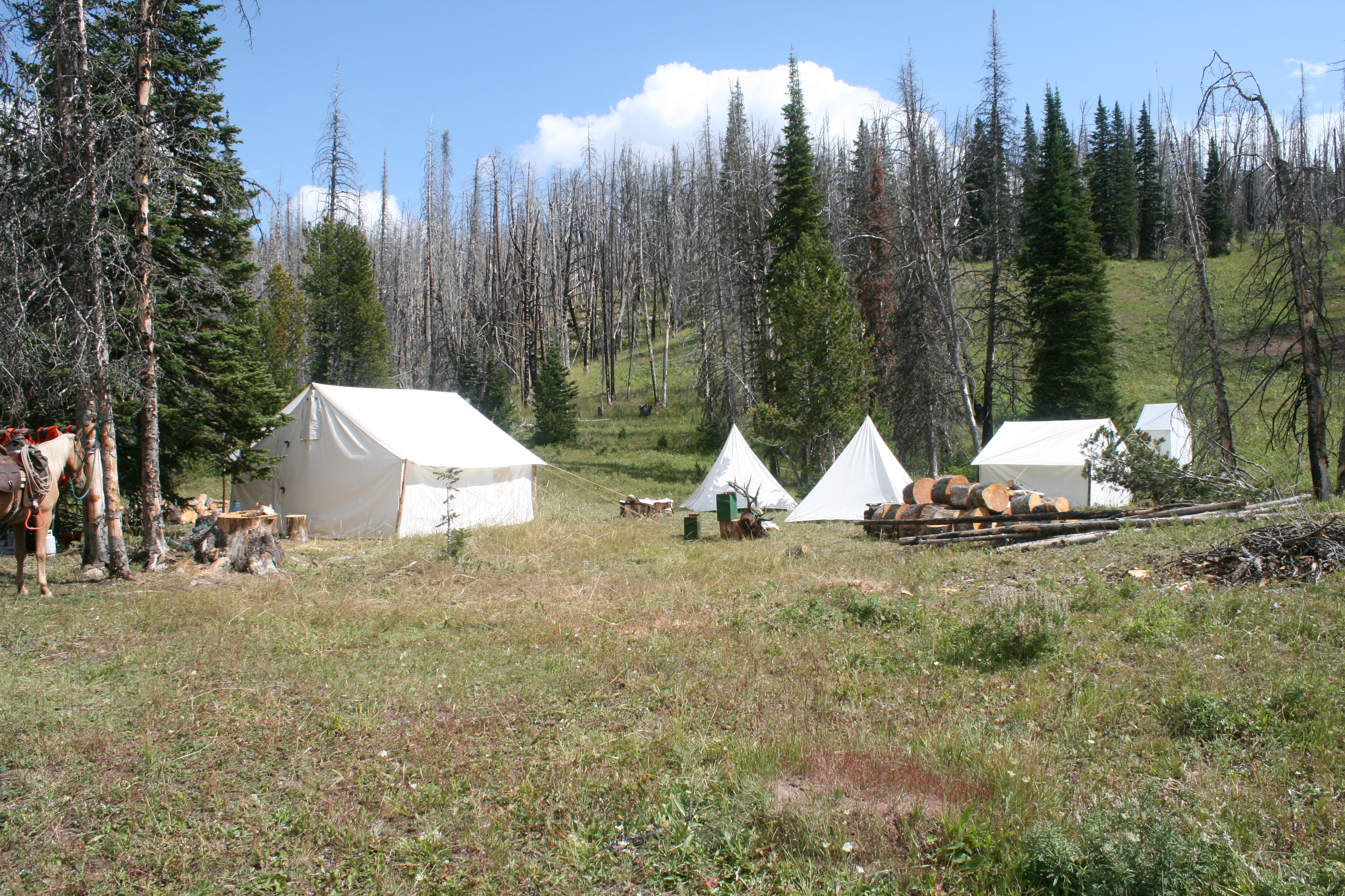 Backcountry Wall Tent Camp