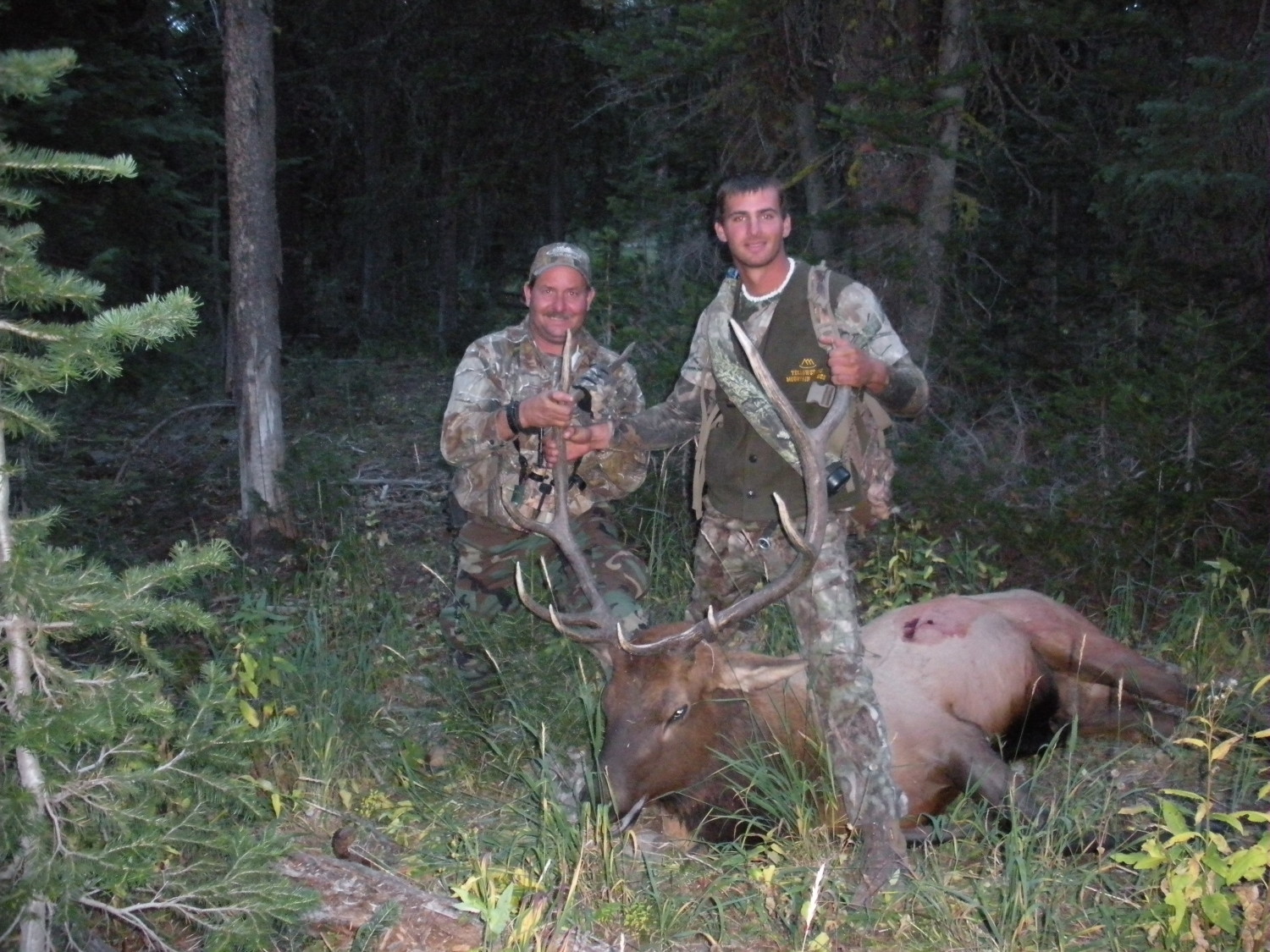 Archery Elk 2009